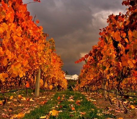 网站攻击软件工具