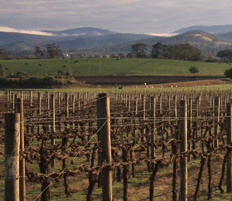 cc攻击免费网页版